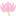 thaiexpress.ca