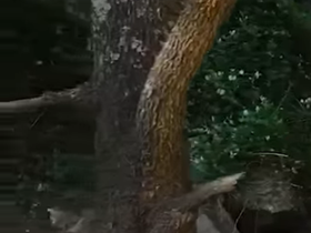 northcoastholidayparks.com.au