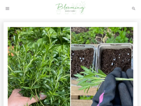 'bloomingbackyard.com' screenshot