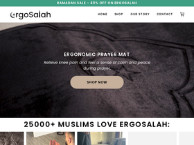 Ergosalah website screenshot