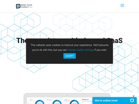 'briefyourmarket.com' screenshot