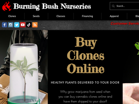 burningbushnurseries.com