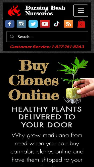 burningbushnurseries.com