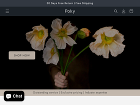 Poky homepage screenshot