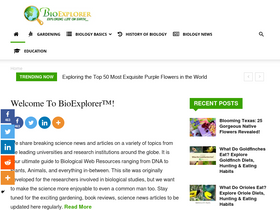 'bioexplorer.net' screenshot