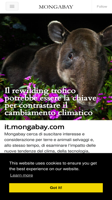 it.mongabay.com