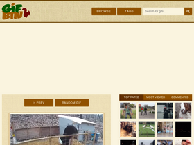 'gifbin.com' screenshot