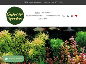 capricornaquarium.com
