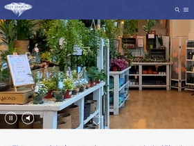 'bluediamond.gg' screenshot