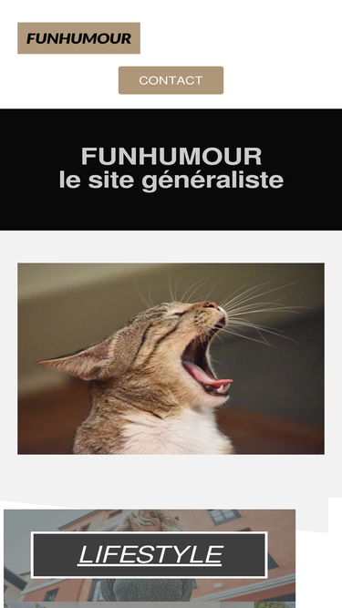 funhumour.com