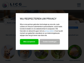 'licg.nl' screenshot