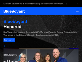 'bluevoyant.com' screenshot