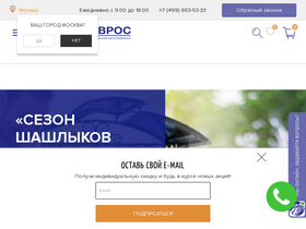 'ozinkovka.ru' screenshot