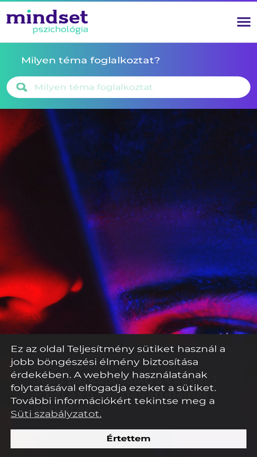 mindsetpszichologia.hu