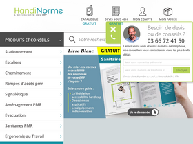 'handinorme.com' screenshot