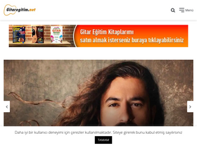 'gitaregitim.net' screenshot