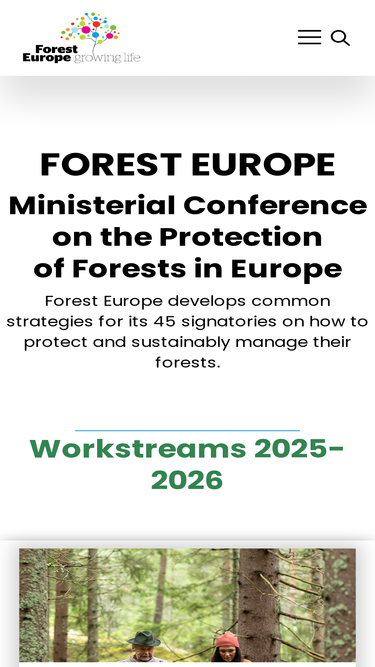 foresteurope.org
