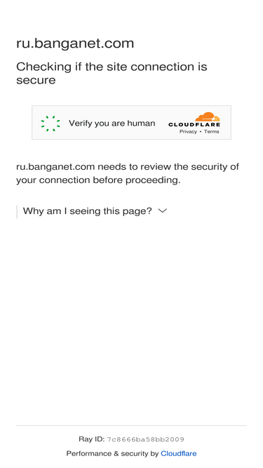 ru.banganet.com