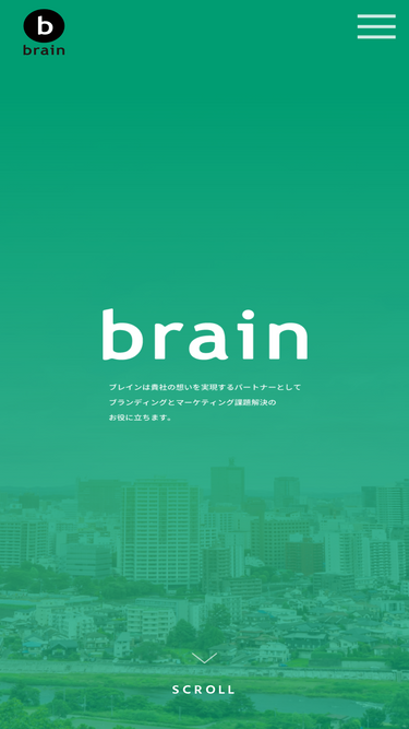 msbrain.net