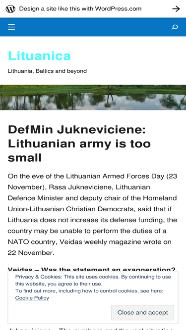 irzikevicius.wordpress.com