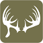 albertabushadventures.com