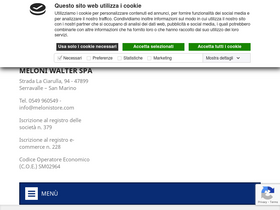 'melonistore.com' screenshot