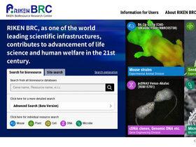 brc.riken.jp