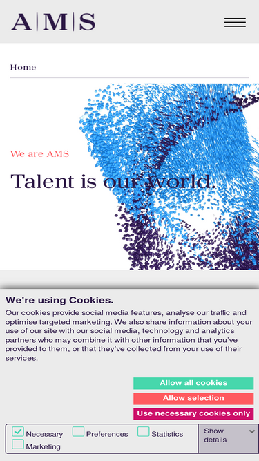 alexandermannsolutions.com