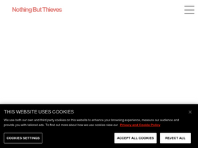 'nbthieves.com' screenshot