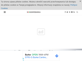 '300gospodarka.pl' screenshot