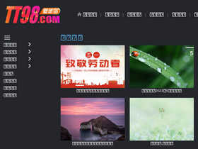 'tt98.com' screenshot