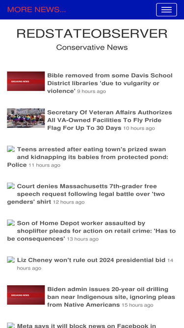 redstateobserver.com