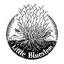 littlebluestem.net