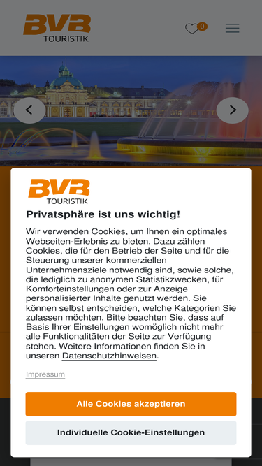 bvb-touristik.de