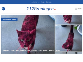 '112groningen.nl' screenshot