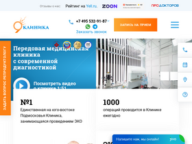 '9mesyacev.com' screenshot