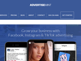 'advertisemint.com' screenshot