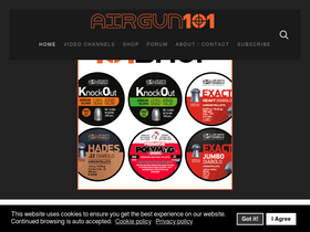 'airgun101.com' screenshot
