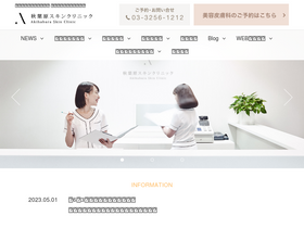 'akihabara-skin.com' screenshot