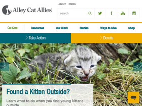 'alleycat.org' screenshot