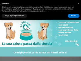'amicaveterinaria.com' screenshot