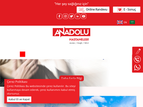 'anadoluhastaneleri.com' screenshot