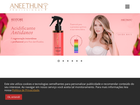 'aneethun.com' screenshot