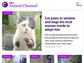 'animalchannel.co' screenshot