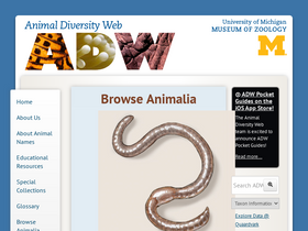 'animaldiversity.org' screenshot