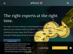'ankura.com' screenshot