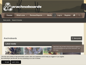 'arachnoboards.com' screenshot