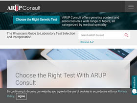 'arupconsult.com' screenshot