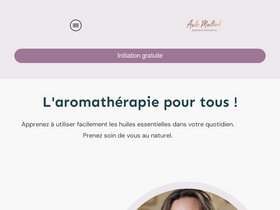 'aude-maillard.fr' screenshot