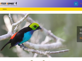 'avianreport.com' screenshot
